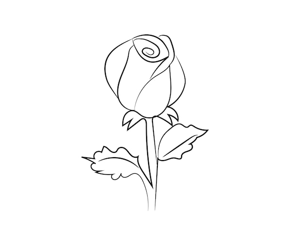 Vector a drawing of a rose with a spiral on it