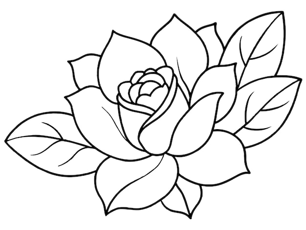 Vector a drawing of a rose with a white background