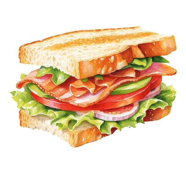 Vector a drawing of a sandwich with lettuce, tomato, and lettuce.