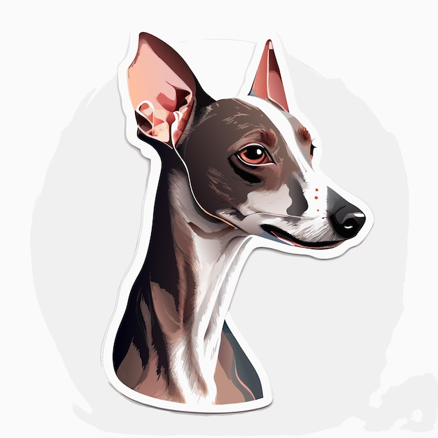 Vector drawing spotted italian greyhound white background high quality sticker