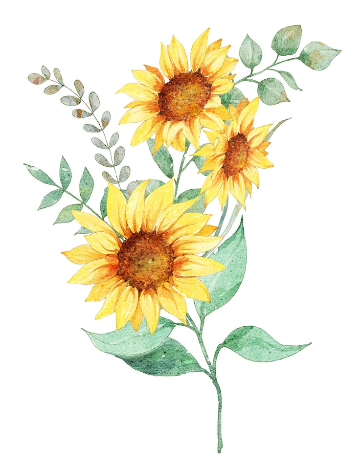 Vector a drawing of sunflowers by person