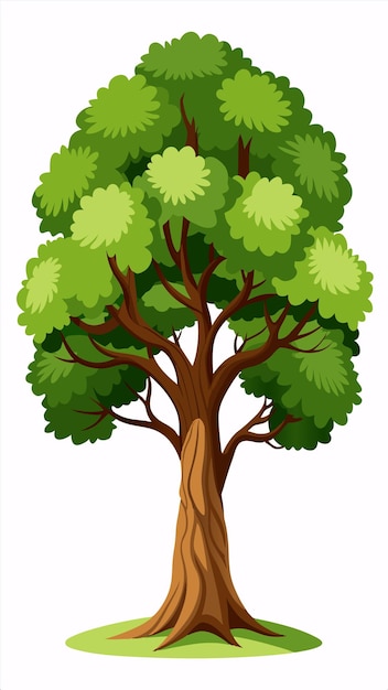 Vector a drawing of a tree with green leaves on a white background