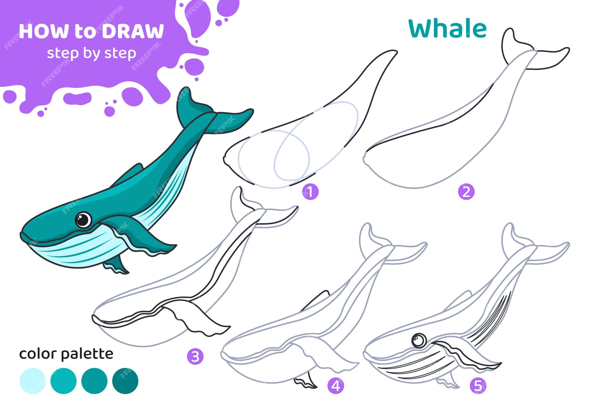 Easy How to Draw a Whale Tutorial and Whale Coloring Page