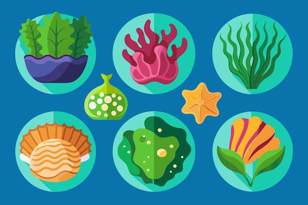 a drawing of a variety of seaweed and seaweed