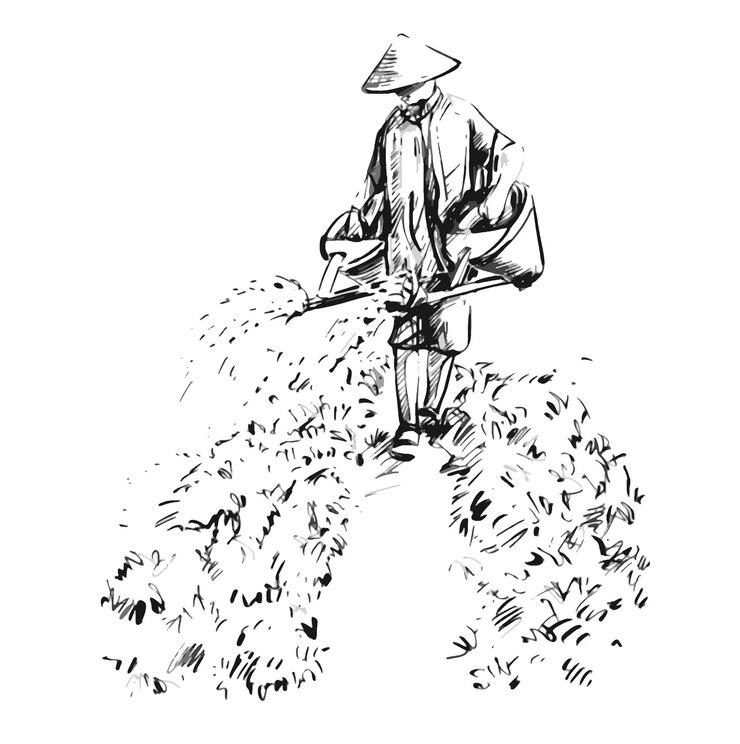 베트남 농부 가  에 물 을 주고 있는 그림