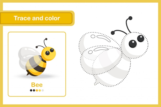 Drawing and vocabulary worksheet, trace and colour : bee