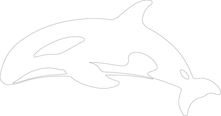 Vector a drawing of a whale that was made by a company called a whale