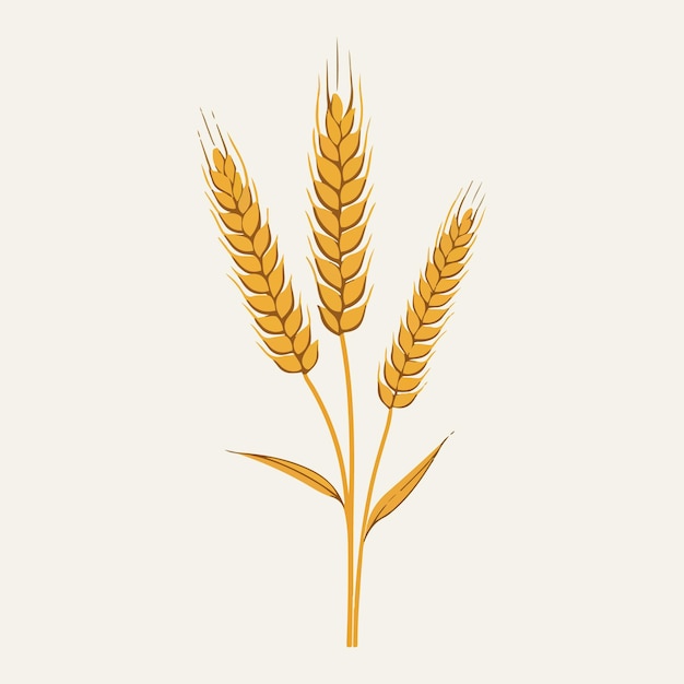 A drawing of wheat ears on a white background.