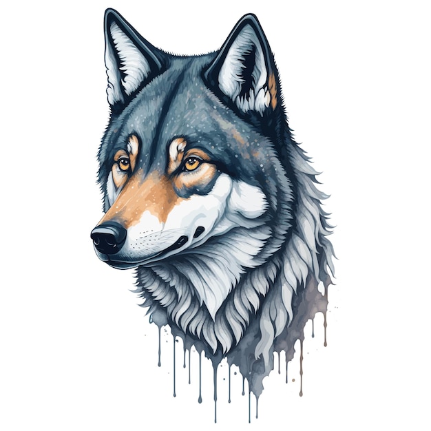 A drawing of a wolf with a black and white face.