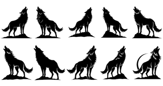 Vector a drawing of a wolf with a wolf on it