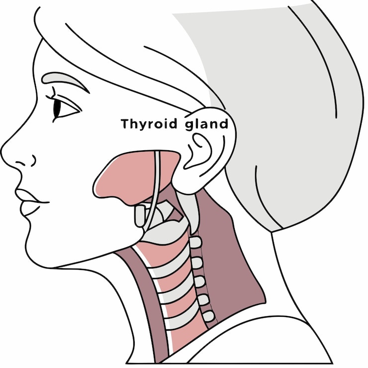 Vector a drawing of a woman  s neck with the word pelt pelt