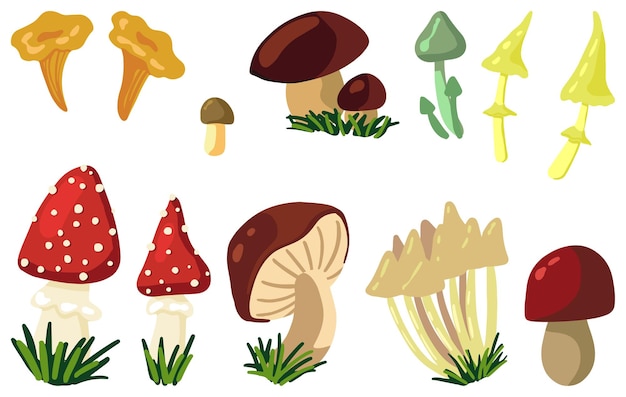 Disegni di vari funghi. set di raccolta forestale autunnale. illustrazioni vettoriali della stagione autunnale. raccolta di clipart colorata del fumetto isolata su priorità bassa bianca.