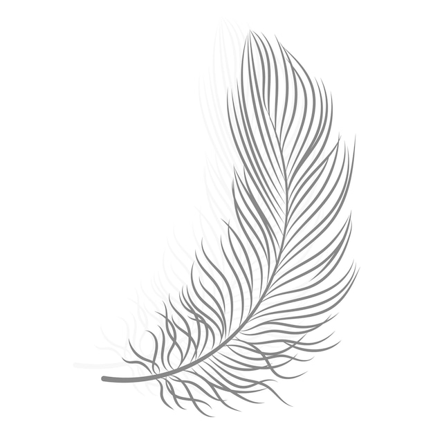 Drawn gray bird feather on a white background Line art vector