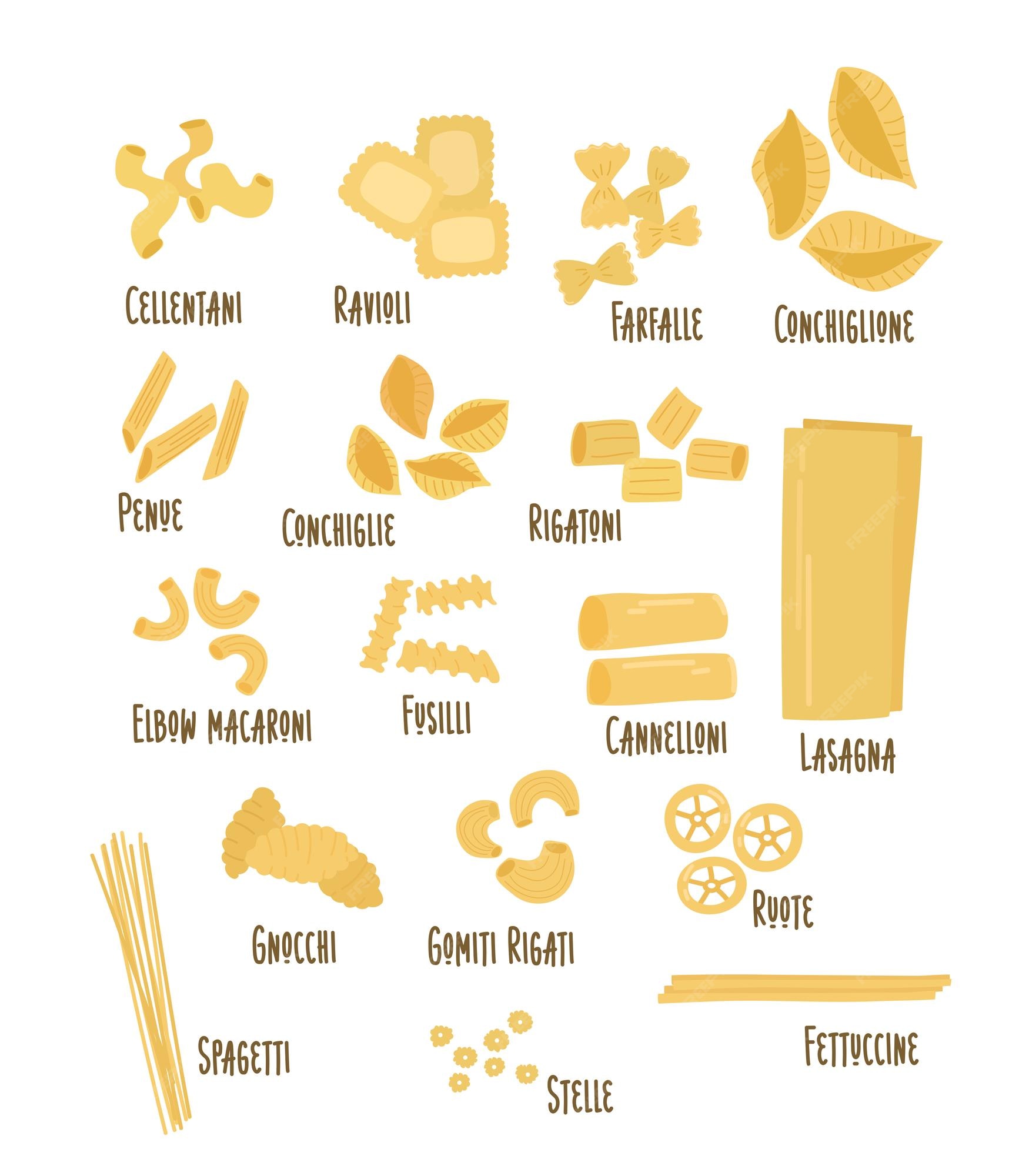 Premium Vector  Drawn set of types of pasta illustration italian pasta