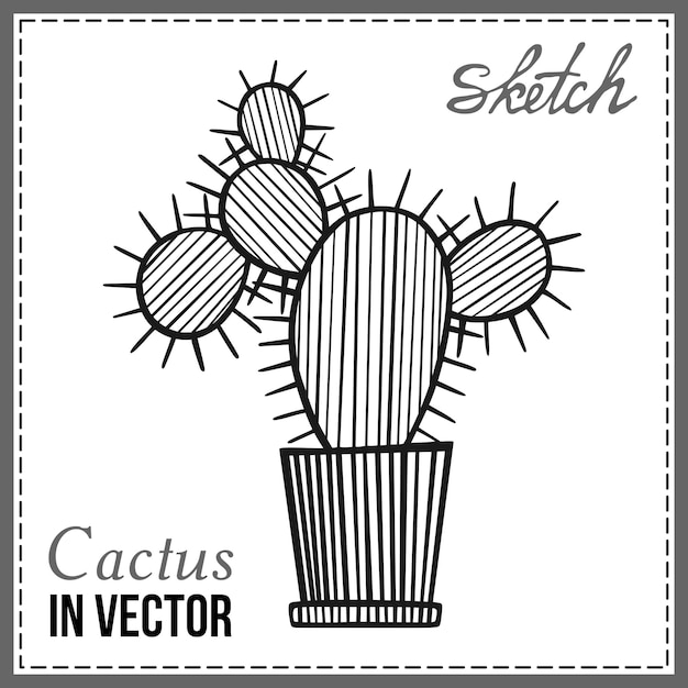 Vector drawn sketch of cactus in the vector