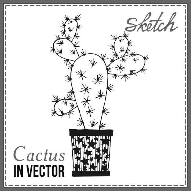 Drawn sketch of cactus in the vector