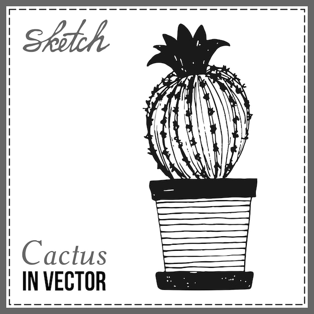 DRAWN SKETCH OF CACTUS IN THE VECTOR