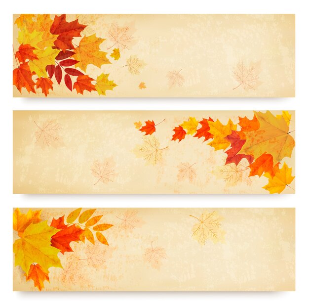 Drie abstracte de herfstbanners met kleurenbladeren.