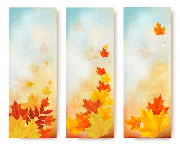 Drie abstracte de herfstbanners met kleurenbladeren.