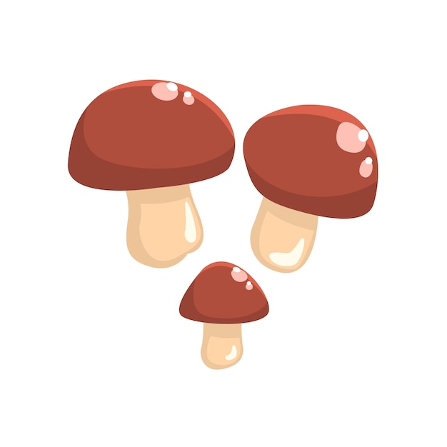 Drie Brown Cap Cepe Paddestoelen Geïsoleerd Element Van Boslandschapsontwerp Voor De Flash Game Landscaping Doeleinden