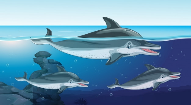 Drie dolfijnen die in de oceaan zwemmen