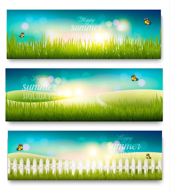 Drie mooie zomerse weidelandschap banners met vlinders. vector.