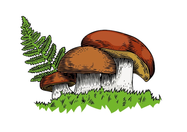 Vector drie paddenstoelen met varen op het gras