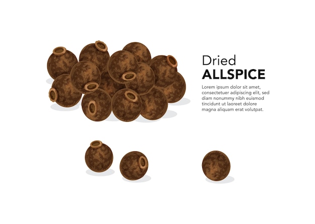 dried allspice seeds on a white background