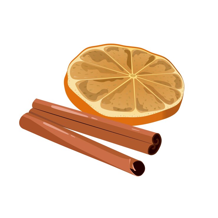 Vector dried cinnamon bark strips or sticks with orange slices vector set on a white isolated background vector illustration