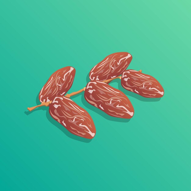 Dried date palm fruits vector illustration