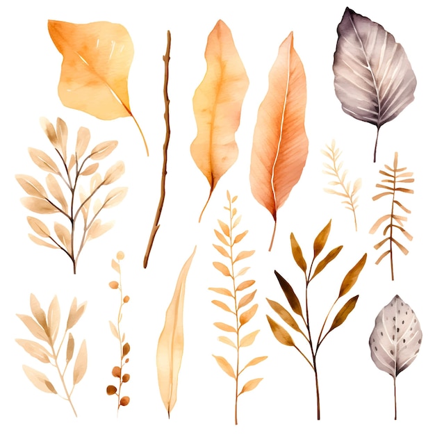 dried flower and leaves decorative elements