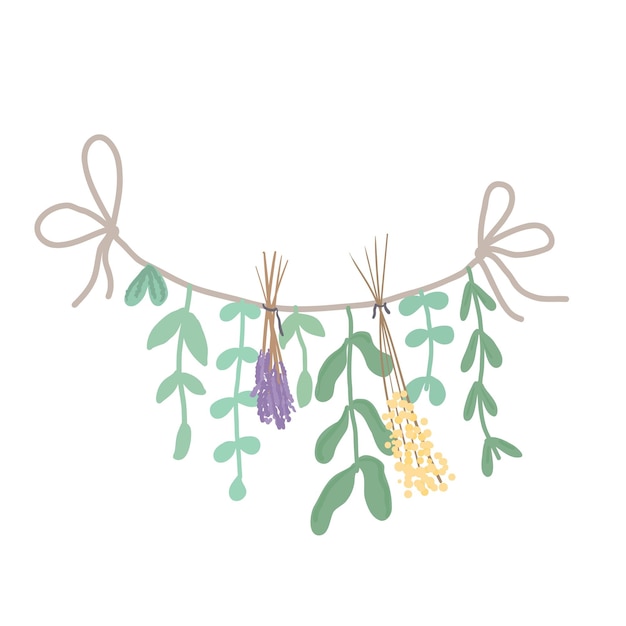 ドライフラワー植物はロープで乾燥しますlavendervectorイラスト