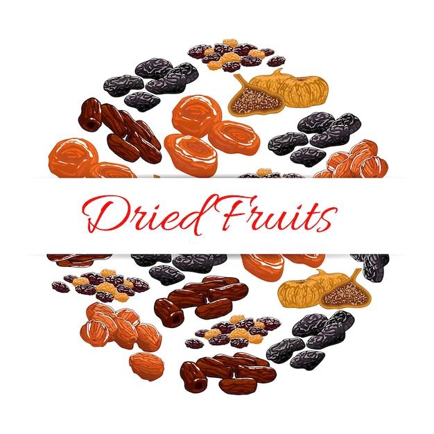 Vector dried fruits product emblem