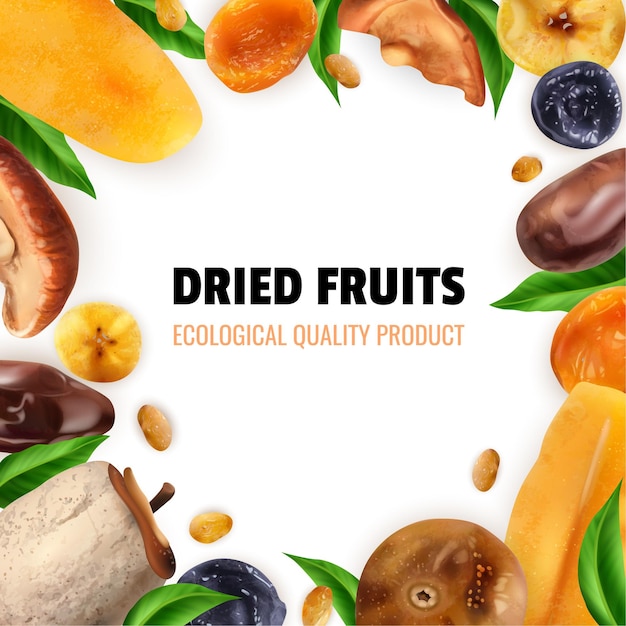 Vector dried fruits realistic frame