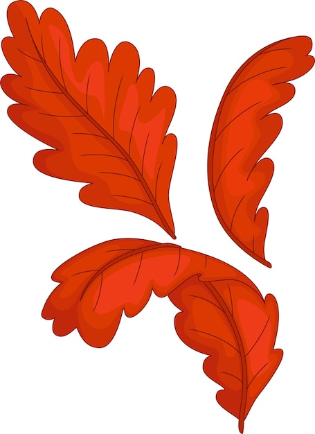 Vector dried leaf