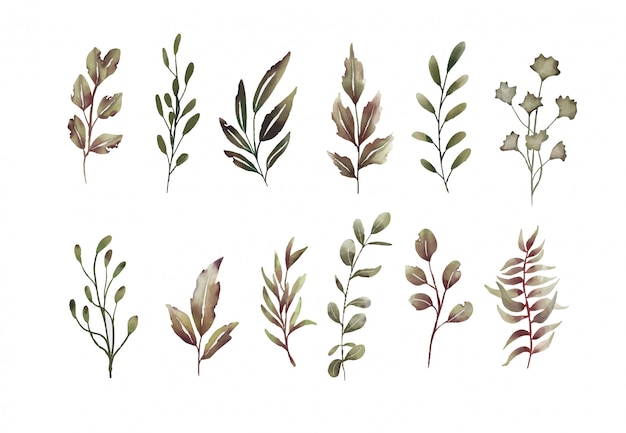 Dried leaves element collection watercolor