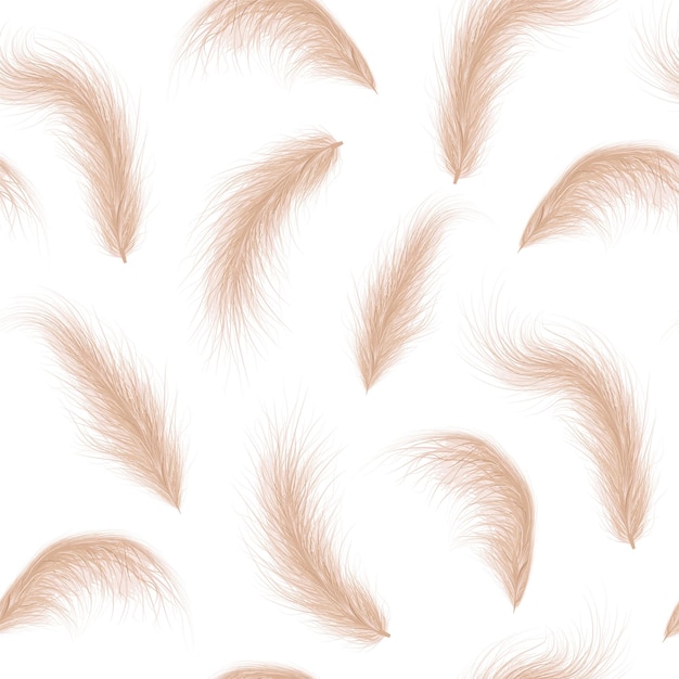 Vector dried natural pampas grass on seamless background