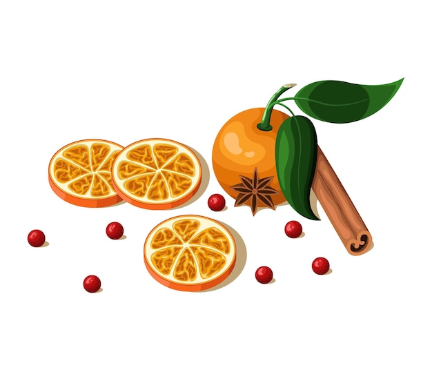 Dried orange slices, cinnamon stick, anise star and orange on white background