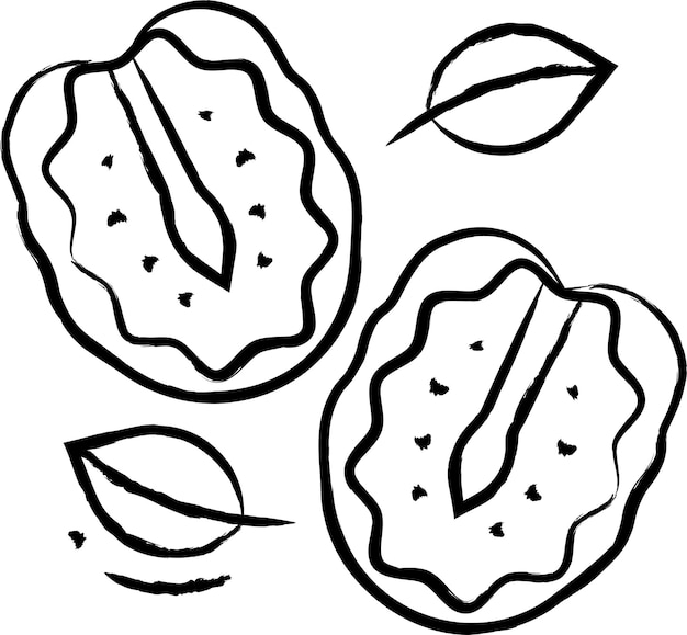 Vector dried tomatoes hand drawn vector illustration