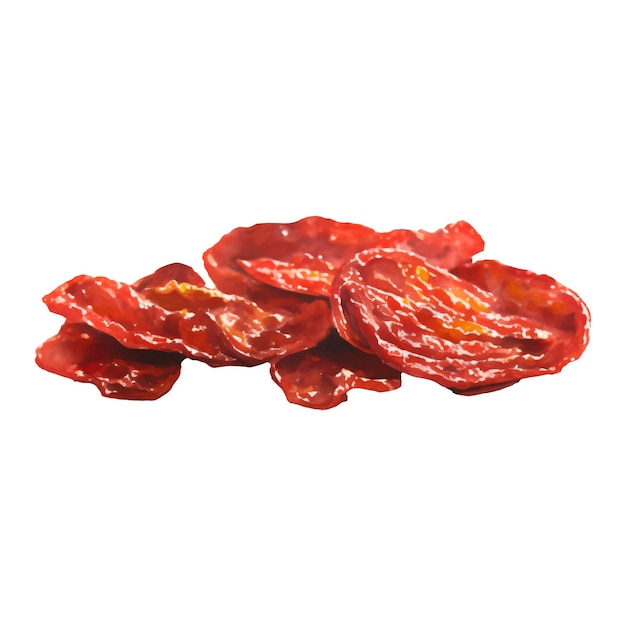 Vector dried tomatoes isolated hand drawn painting illustration