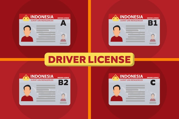 Driver licence