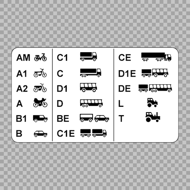 Driver's licenses symbols