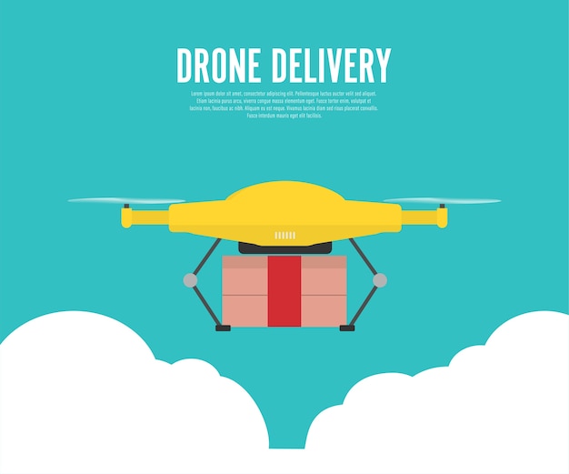 Vector drone delivery with the package.