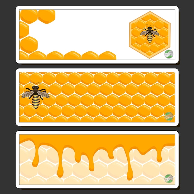 Drop of bee honey drip from hexagonal honeycombs filled with golden nectar