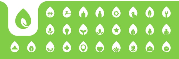 Drop water nature plant flat icon logo design vector