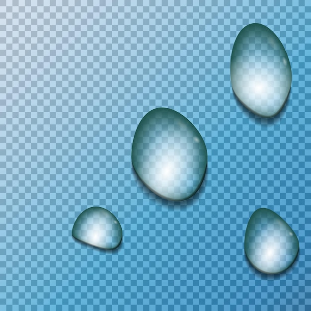 drops isolated on background. Vector illustration. Eps 10