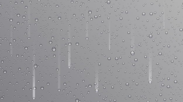 Drops water rain on grey background, realistic style, vector elements. Clean drop condensation. Vector pure bubbles on window glass