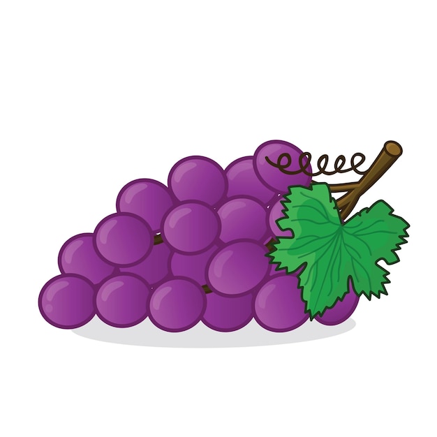 Druiven druiven vector druiven vector icoon cartoon verse druiven verse paarse druiven met blad