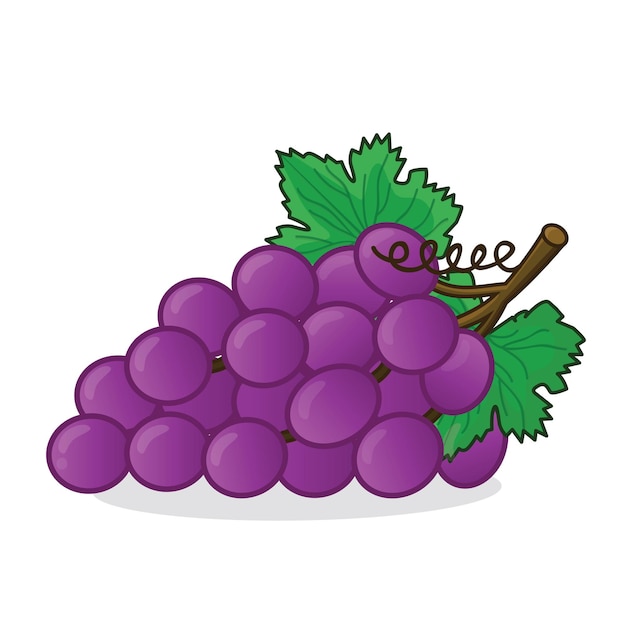 Druiven druiven vector druiven vector icoon cartoon verse druiven verse paarse druiven met blad