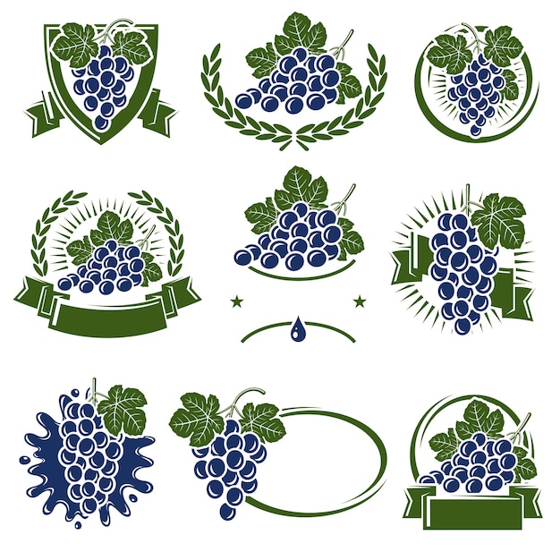 Vector druiven label en pictogrammen instellen collectie icoon druiven vector